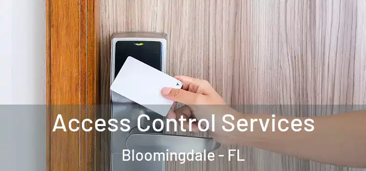 Access Control Services Bloomingdale - FL