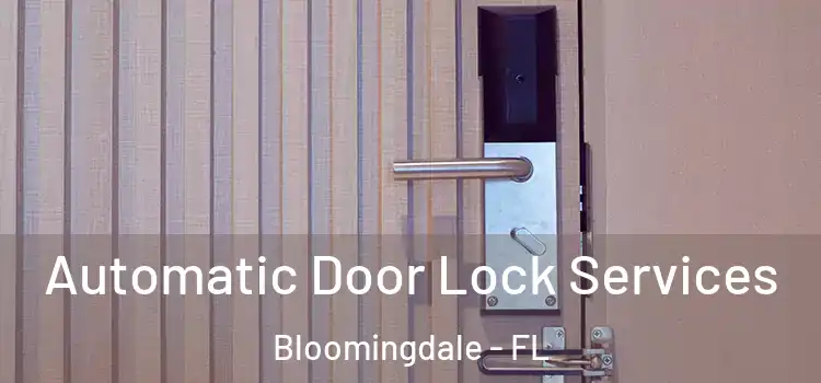 Automatic Door Lock Services Bloomingdale - FL