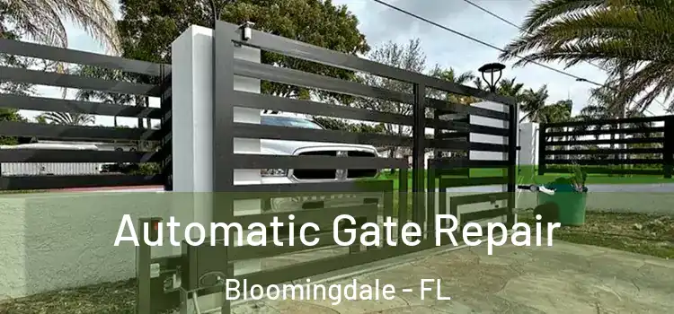 Automatic Gate Repair Bloomingdale - FL