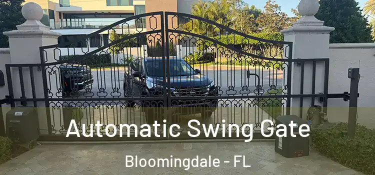  Automatic Swing Gate Bloomingdale - FL