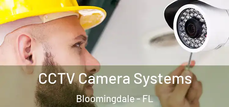  CCTV Camera Systems Bloomingdale - FL