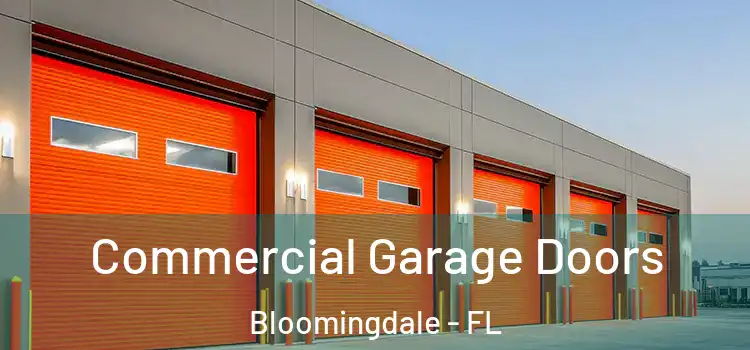  Commercial Garage Doors Bloomingdale - FL