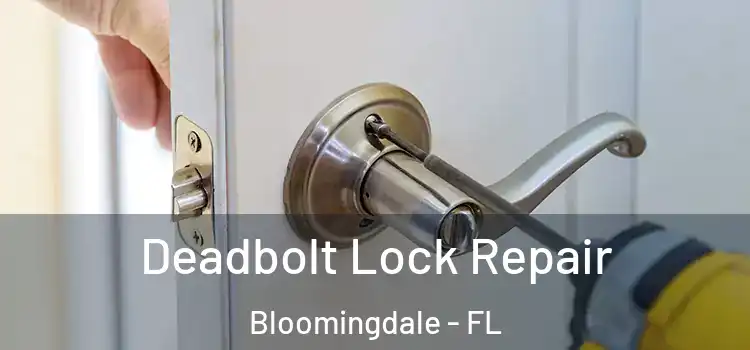 Deadbolt Lock Repair Bloomingdale - FL