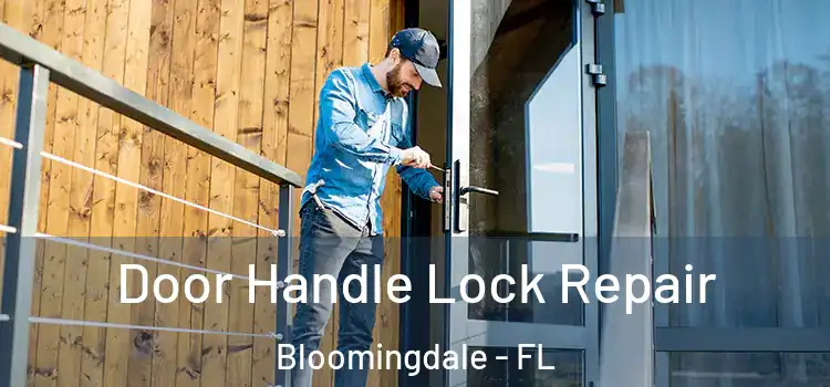 Door Handle Lock Repair Bloomingdale - FL