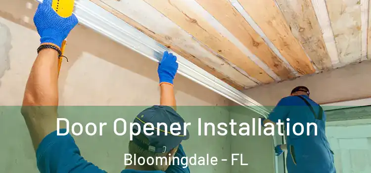 Door Opener Installation Bloomingdale - FL