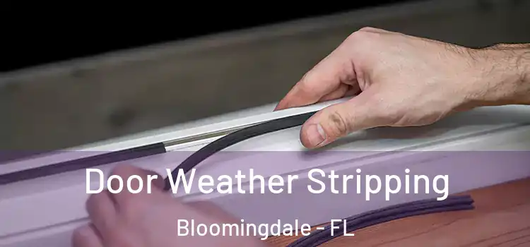  Door Weather Stripping Bloomingdale - FL