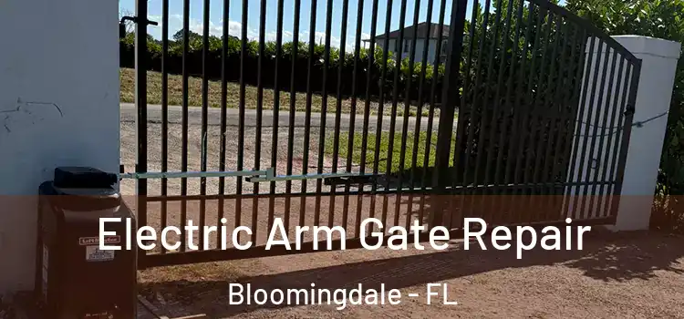 Electric Arm Gate Repair Bloomingdale - FL