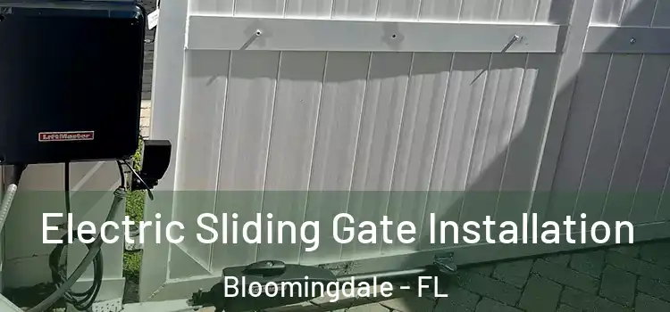 Electric Sliding Gate Installation Bloomingdale - FL
