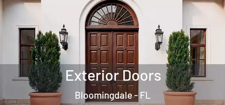 Exterior Doors Bloomingdale - FL