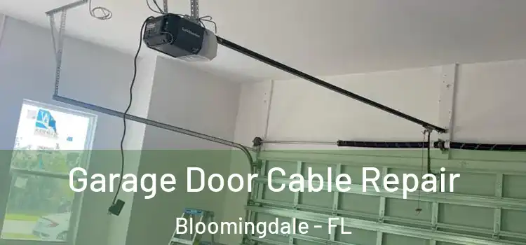  Garage Door Cable Repair Bloomingdale - FL