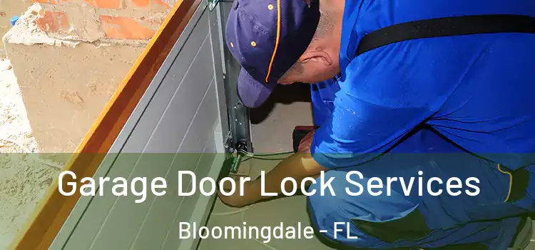 Garage Door Lock Services Bloomingdale - FL