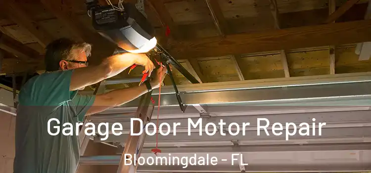  Garage Door Motor Repair Bloomingdale - FL