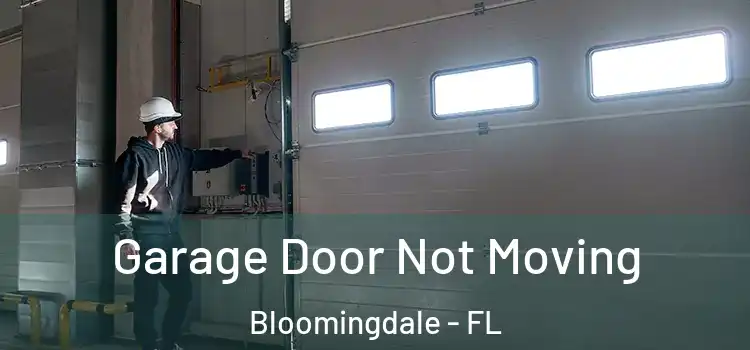  Garage Door Not Moving Bloomingdale - FL