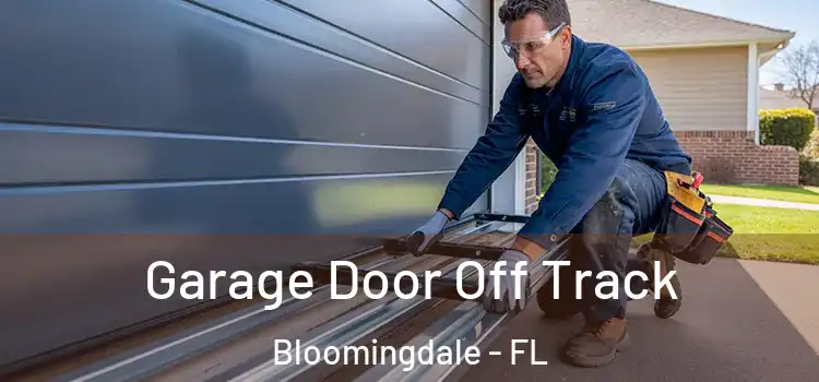  Garage Door Off Track Bloomingdale - FL