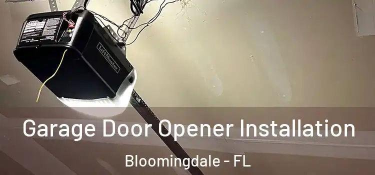  Garage Door Opener Installation Bloomingdale - FL
