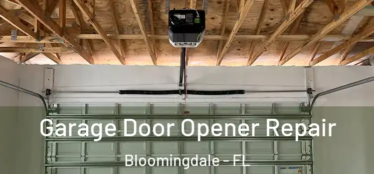  Garage Door Opener Repair Bloomingdale - FL
