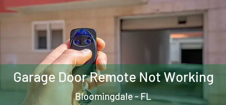  Garage Door Remote Not Working Bloomingdale - FL