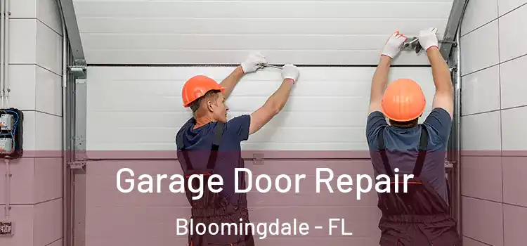  Garage Door Repair Bloomingdale - FL