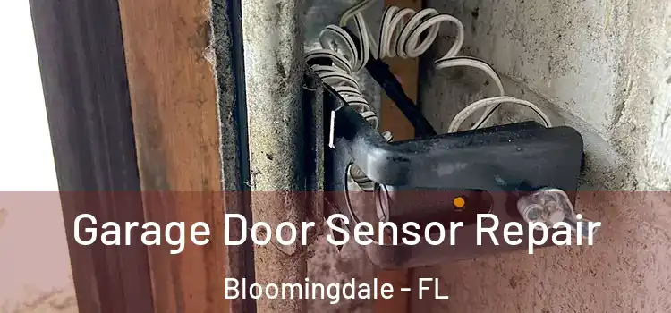 Garage Door Sensor Repair Bloomingdale - FL