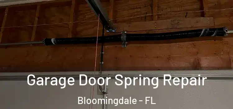  Garage Door Spring Repair Bloomingdale - FL