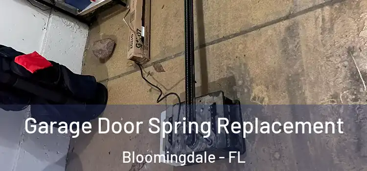  Garage Door Spring Replacement Bloomingdale - FL
