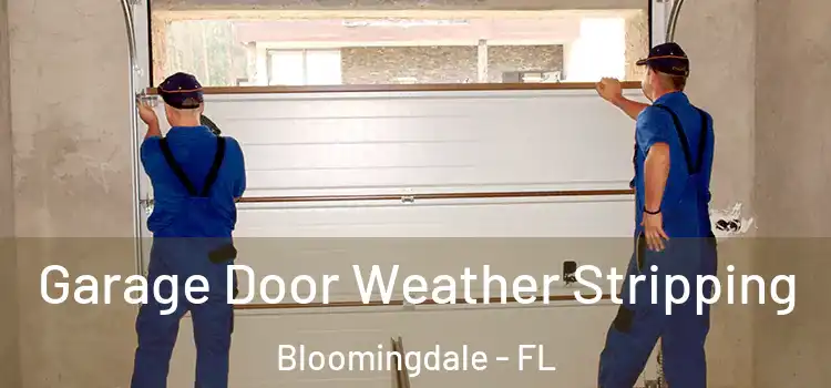  Garage Door Weather Stripping Bloomingdale - FL