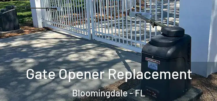 Gate Opener Replacement Bloomingdale - FL