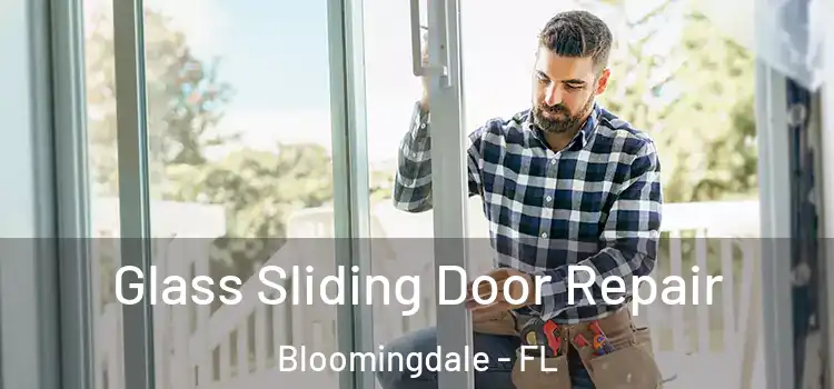  Glass Sliding Door Repair Bloomingdale - FL