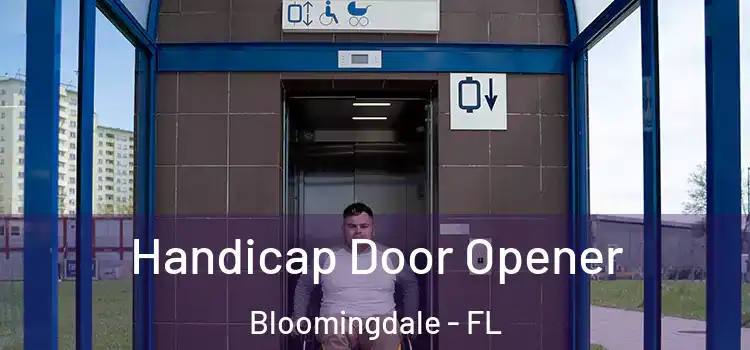 Handicap Door Opener Bloomingdale - FL