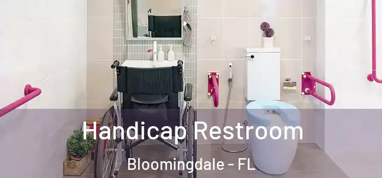  Handicap Restroom Bloomingdale - FL