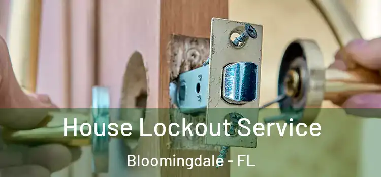  House Lockout Service Bloomingdale - FL