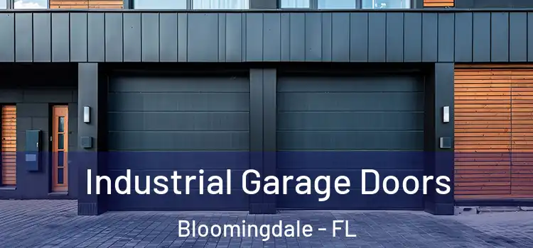  Industrial Garage Doors Bloomingdale - FL