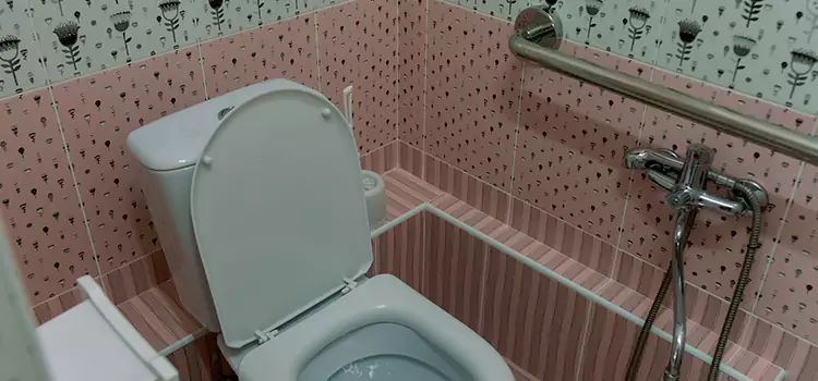 Meeting Diverse Needs With Accessible Restroom Solutions in Bloomingdale, FL