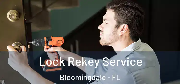 Lock Rekey Service Bloomingdale - FL