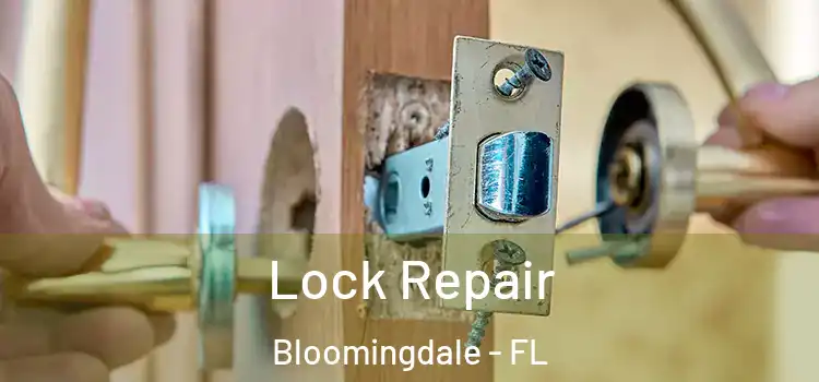 Lock Repair Bloomingdale - FL