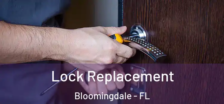  Lock Replacement Bloomingdale - FL