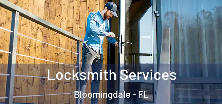  Locksmith Services Bloomingdale - FL