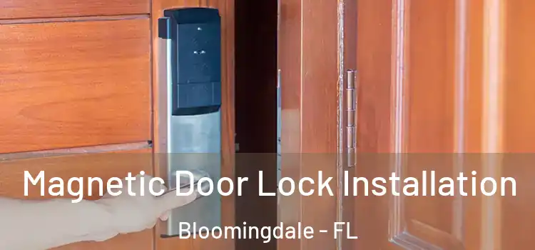 Magnetic Door Lock Installation Bloomingdale - FL