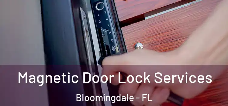 Magnetic Door Lock Services Bloomingdale - FL