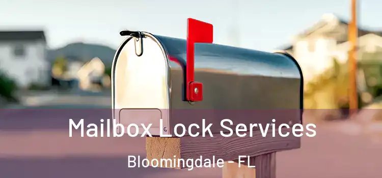  Mailbox Lock Services Bloomingdale - FL