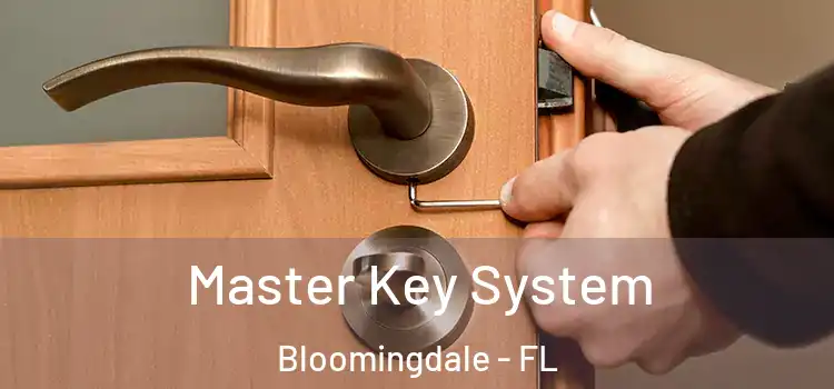  Master Key System Bloomingdale - FL