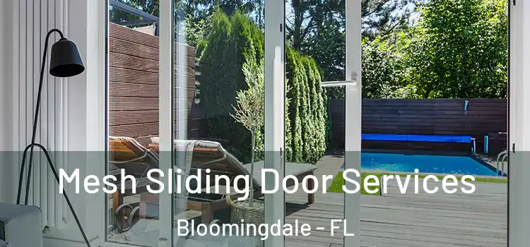 Mesh Sliding Door Services Bloomingdale - FL