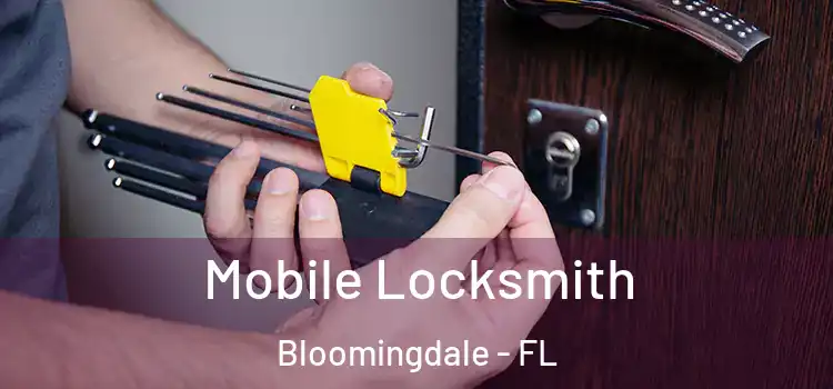 Mobile Locksmith Bloomingdale - FL
