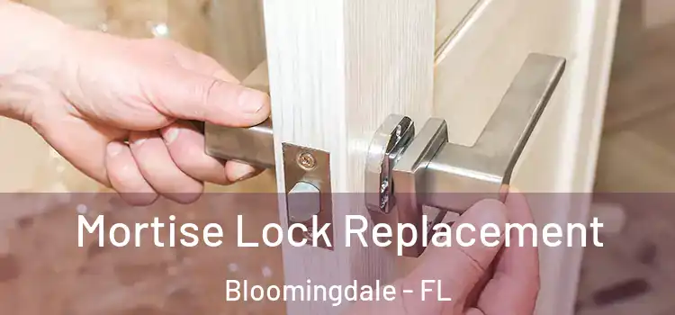  Mortise Lock Replacement Bloomingdale - FL