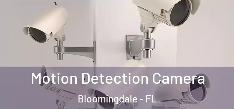  Motion Detection Camera Bloomingdale - FL
