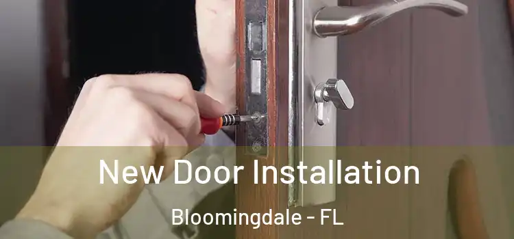 New Door Installation Bloomingdale - FL