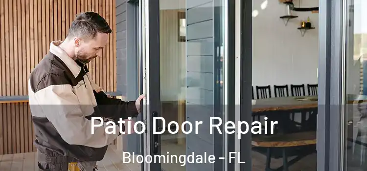 Patio Door Repair Bloomingdale - FL