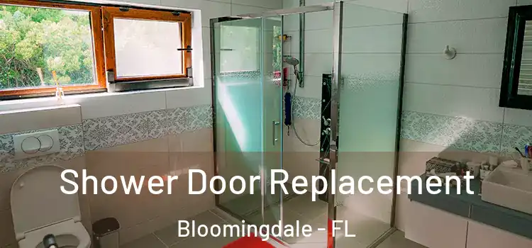  Shower Door Replacement Bloomingdale - FL