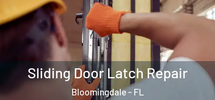  Sliding Door Latch Repair Bloomingdale - FL