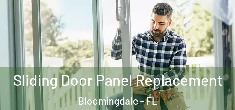  Sliding Door Panel Replacement Bloomingdale - FL